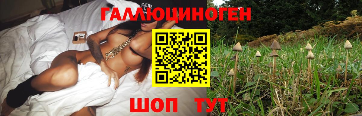 Галлюциногенные грибы мицелий Советский