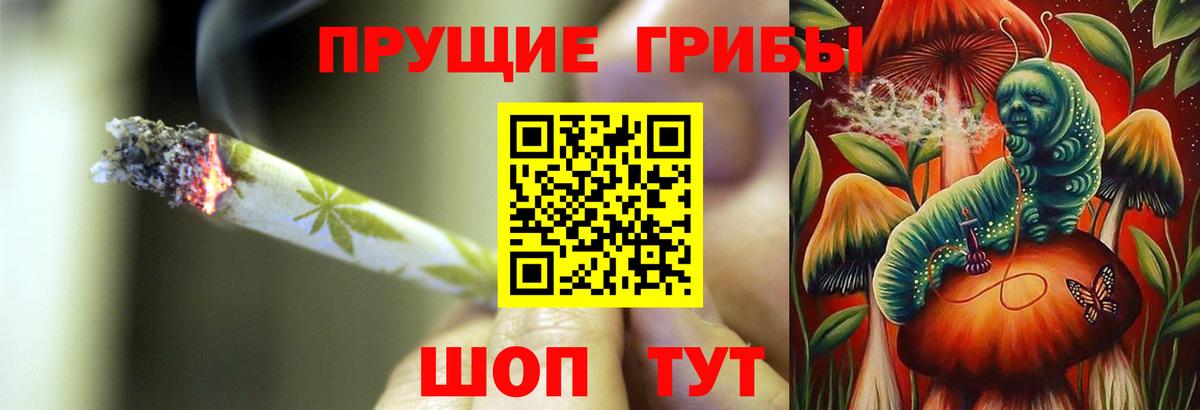 купить  цена  Вход с VPN  Советский  Псилоцибиновые грибы Cubensis 
